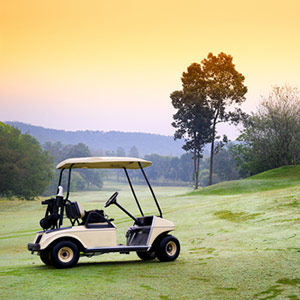 Golf Carts Parts